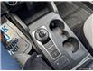 2022 Ford Escape SE Hybrid (Stk: TLR746) in Sarnia - Image 18 of 25