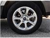 2021 Ford EcoSport SE (Stk: VFEP00786A) in Chatham - Image 11 of 29
