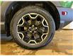 2025 Ford Bronco Sport Outer Banks (Stk: 25BR17) in St.Paul - Image 10 of 10