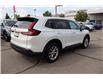 2023 Honda CR-V EX-L (Stk: 2212932A) in Mississauga - Image 5 of 26