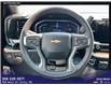 2025 Chevrolet Silverado 1500 LT (Stk: 3918) in Unity - Image 12 of 18