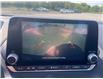 2025 Nissan Sentra SV (Stk: CSY339364) in Cobourg - Image 20 of 22