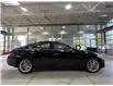 2021 Infiniti Q50 Luxe (Stk: 80027) in Mississauga - Image 5 of 24
