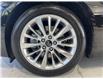 2021 Infiniti Q50 Luxe (Stk: 80027) in Mississauga - Image 10 of 24