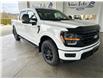 2024 Ford F-150 XLT (Stk: 24312) in Port Alberni - Image 3 of 32