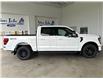 2024 Ford F-150 XLT (Stk: 24312) in Port Alberni - Image 4 of 32