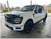 2024 Ford F-150 XLT (Stk: 24312) in Port Alberni - Image 9 of 32
