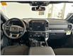 2024 Ford F-150 XLT (Stk: 24312) in Port Alberni - Image 14 of 32
