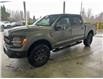 2025 Ford F-150 Tremor (Stk: 25006) in Port Alberni - Image 9 of 32