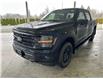2025 Ford F-150 XLT (Stk: 25089) in Port Alberni - Image 8 of 30