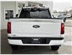 2025 Ford F-150 XLT (Stk: 25084) in Port Alberni - Image 5 of 26