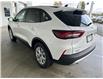 2025 Ford Escape Active (Stk: 25115) in Port Alberni - Image 6 of 25