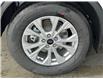 2025 Ford Escape Active (Stk: 25115) in Port Alberni - Image 11 of 25