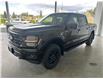 2025 Ford F-150 XLT (Stk: 25090) in Port Alberni - Image 8 of 27