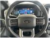 2025 Ford F-150 XLT (Stk: 25090) in Port Alberni - Image 15 of 27