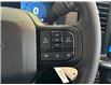 2025 Ford F-150 STX (Stk: 25111) in Port Alberni - Image 27 of 50