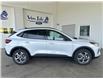 2025 Ford Escape ST-Line (Stk: 25211) in Port Alberni - Image 4 of 27