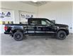 2025 Ford F-150 XLT (Stk: 25207) in Port Alberni - Image 3 of 26