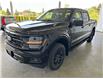 2025 Ford F-150 XLT (Stk: 25207) in Port Alberni - Image 8 of 26