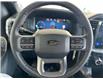 2025 Ford F-150 XLT (Stk: 25207) in Port Alberni - Image 17 of 26