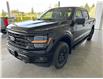 2025 Ford F-150 XLT (Stk: 25212) in Port Alberni - Image 8 of 29