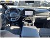 2025 Ford F-150 XLT (Stk: 5F125426) in Brantford - Image 22 of 23