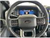 2025 Ford F-150 XLT (Stk: 25202) in Port Alberni - Image 15 of 25