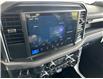 2025 Ford F-150 XLT (Stk: 25202) in Port Alberni - Image 17 of 25