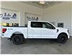 2025 Ford F-150 XLT (Stk: 25208) in Port Alberni - Image 3 of 27