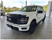 2025 Ford F-150 XLT (Stk: 25208) in Port Alberni - Image 8 of 27