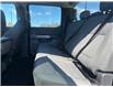 2024 Ford F-150 XLT (Stk: P25-17) in Embrun - Image 10 of 23
