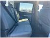 2024 Ford F-150 XLT (Stk: P25-17) in Embrun - Image 18 of 23