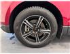 2015 Ford Edge SEL (Stk: 15535) in Lethbridge - Image 19 of 20