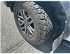 2023 Ford Ranger XLT (Stk: 57B1543) in Penticton - Image 8 of 20