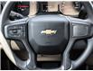 2025 Chevrolet Silverado 2500HD Work Truck (Stk: LC2S00394) in Tilbury - Image 18 of 28