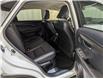 2020 Lexus NX 300 Base (Stk: 25052646) in Calgary - Image 15 of 29