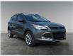 2014 Ford Escape SE (Stk: P40129) in Saskatoon - Image 7 of 15