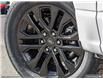 2025 Ford F-150 XLT (Stk: W3L87616) in Richmond - Image 8 of 25