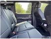 2025 Ford F-150 Lariat (Stk: 5F185617) in Brantford - Image 20 of 22
