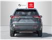 2024 Toyota RAV4 Hybrid LE (Stk: 8241) in Aurora - Image 6 of 8