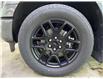 2025 Ford F-150 STX (Stk: 25203) in Melfort - Image 9 of 13