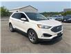 2019 Ford Edge SEL (Stk: S034B) in Chatham - Image 3 of 20