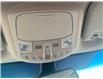 2019 Ford Edge SEL (Stk: S034B) in Chatham - Image 15 of 20