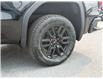 2025 GMC Sierra 1500 Elevation (Stk: 49499) in Carleton Place - Image 10 of 23