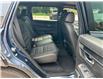 2024 Honda CR-V Hybrid EX-L (Stk: 12499A) in Brockville - Image 11 of 17
