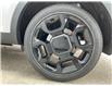 2025 Kia Sorento 2.5T X-Line (Stk: K25136) in Listowel - Image 36 of 36
