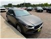 2021 Mazda CX-30 GS (Stk: 24441) in Pembroke - Image 6 of 25