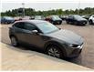 2021 Mazda CX-30 GS (Stk: 24441) in Pembroke - Image 7 of 25