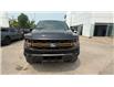 2025 Ford F-150 Tremor (Stk: 25TR27) in GANANOQUE - Image 3 of 10
