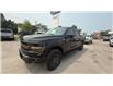 2025 Ford F-150 Tremor (Stk: 25TR27) in GANANOQUE - Image 5 of 10